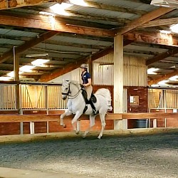 Indoor ring