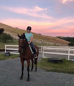 Hacking by the paddocks