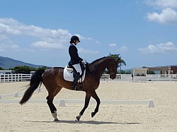 Papi in the beautiful ring