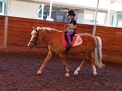 Katy's son (age 5) learning to ride!