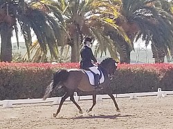 Robyn and Jackie in extended trot 