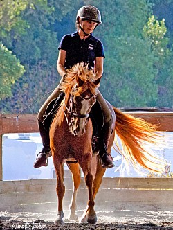 Rohanna schooling at home