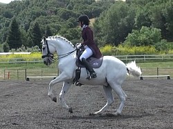 Katy and Scout 