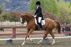 Katy & Phantom