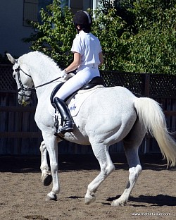 Katy and Silverstone